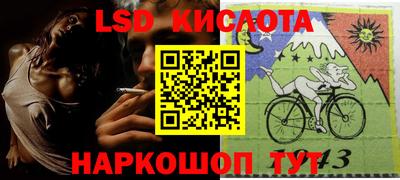 прущие крисы Камышлов