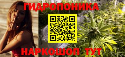 крисы Канаш