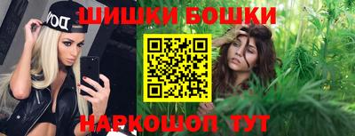 прущие крисы Камышлов