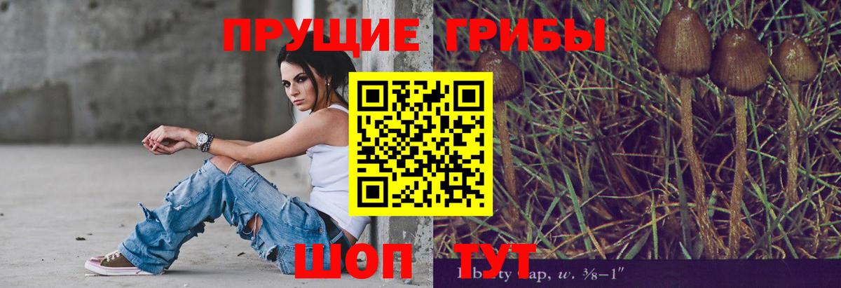Краснодар  хочу   Вход с VPN  Галлюциногенные грибы мухоморы  Галлюциногенные грибы мухоморы 